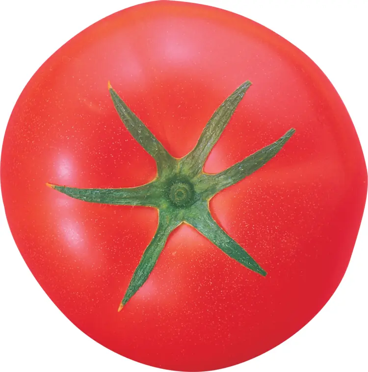 Top View of Fresh Red Tomato