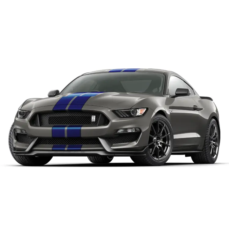 Gray Mustang with Blue Stripes