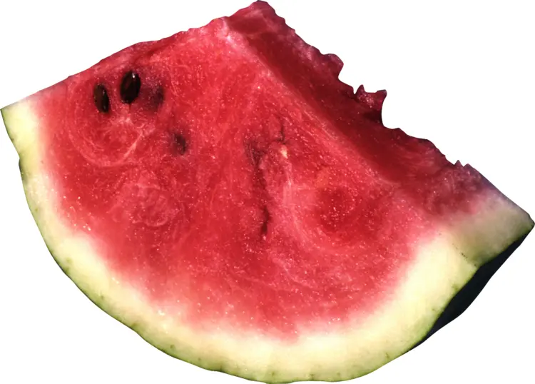Juicy Watermelon Slice