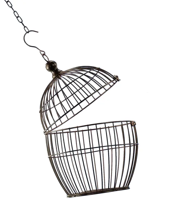 Open Birdcage Hanging