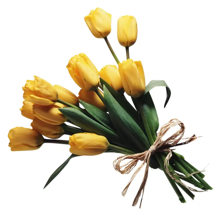 Bright Yellow Tulip Bouquet