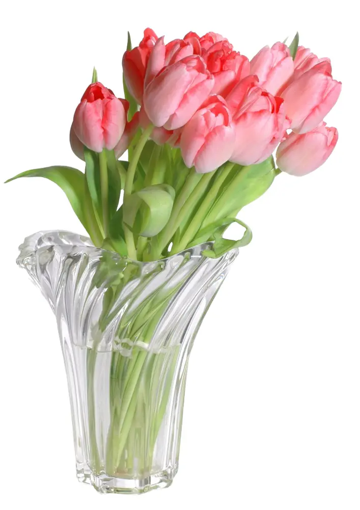 Pink Flowers in Clear Vase