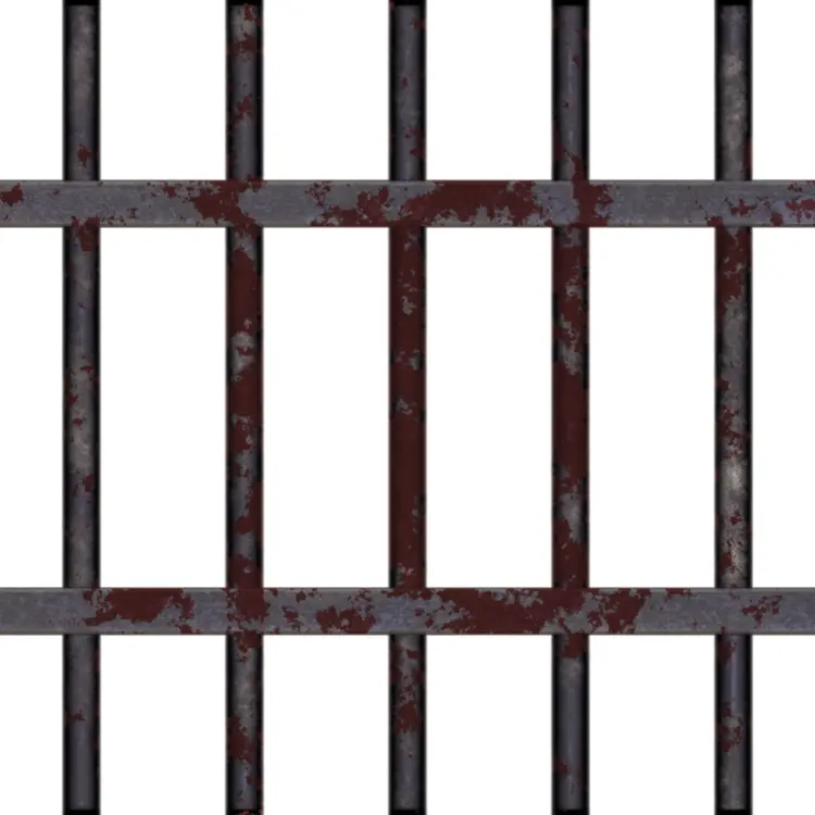 Rusty Bars of a Prison Cell
