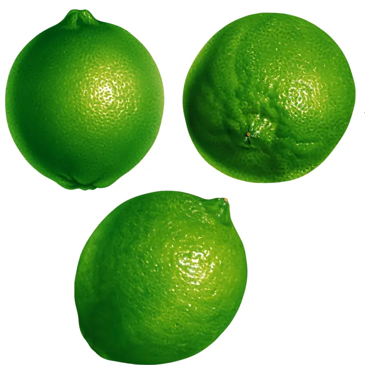Three Fresh Green Limes