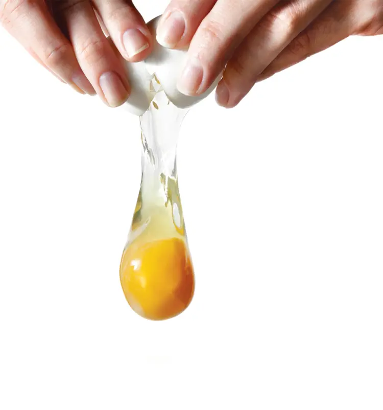 Freshly Cracked Egg for Cooking
