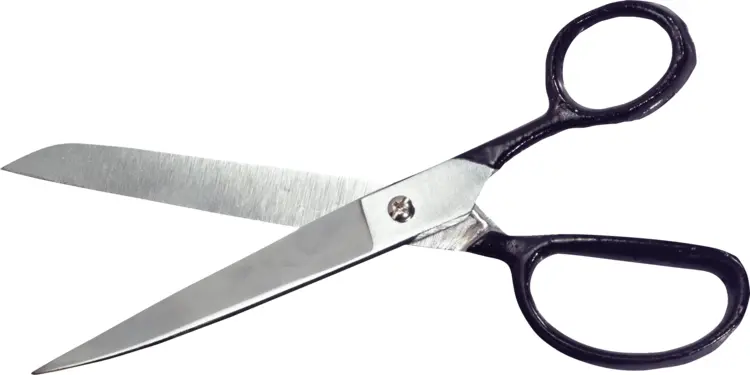 Large Scissors for Tailoring