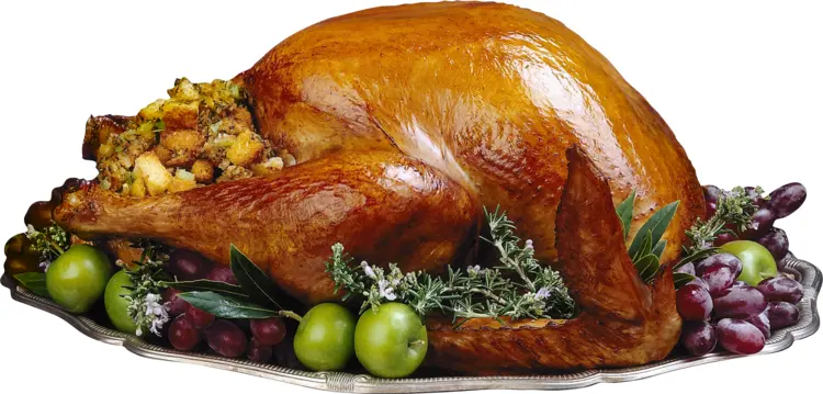 Roasted Turkey with Stuffing and Garnish