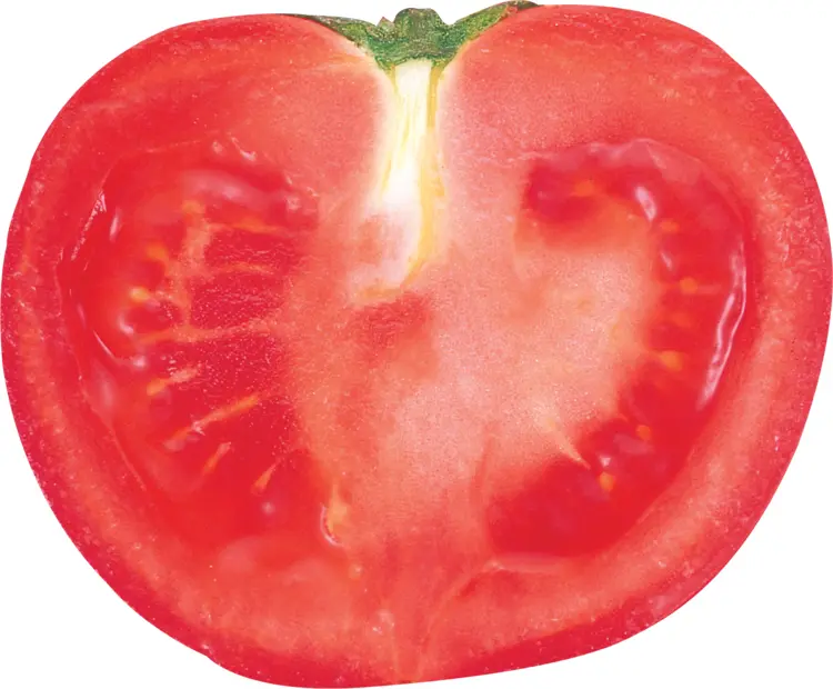 Sliced Fresh Tomato