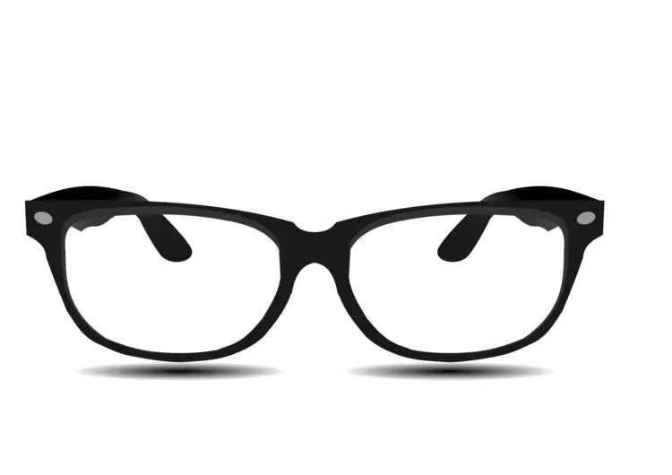 Classic Black Wayfarer Glasses
