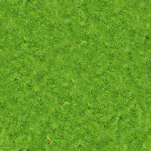 Lush Green Grass for Outdoor Spaces