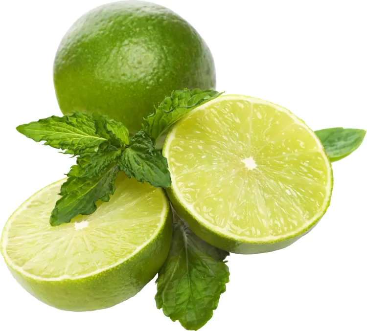 Whole and Halved Limes with Mint