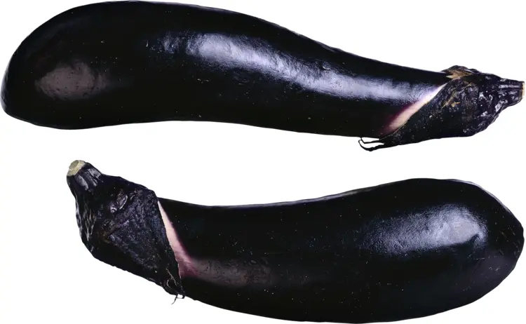 Two Black Eggplants
