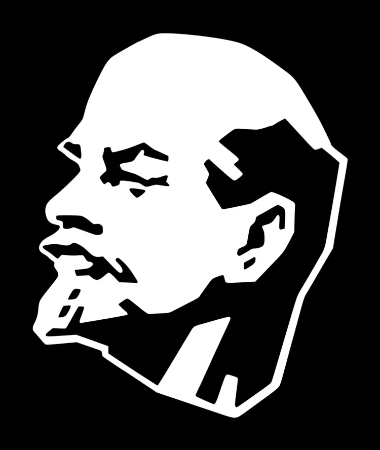Black and White Face Portrait