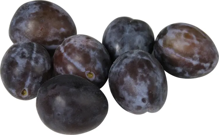 Cluster of Purple Plums