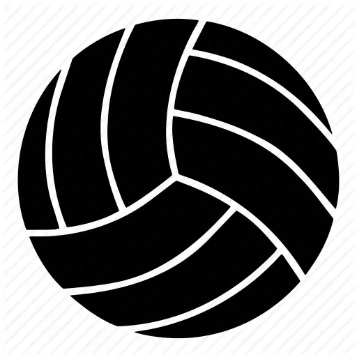 Black Volleyball Illustration