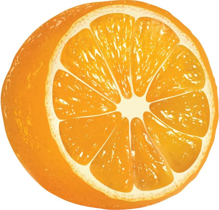 Juicy Orange Slice