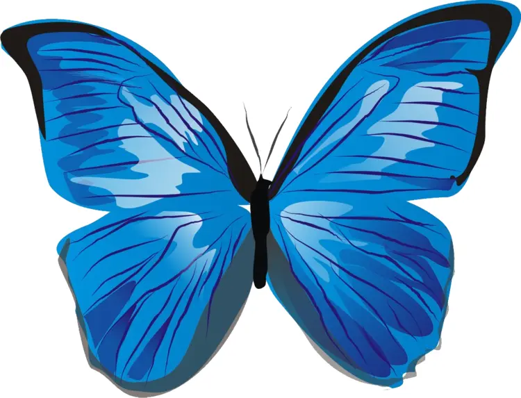 Blue Butterfly Cartoon Illustration
