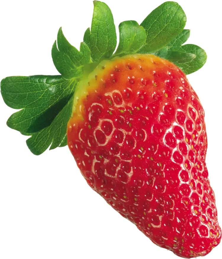 Fresh Red Strawberry