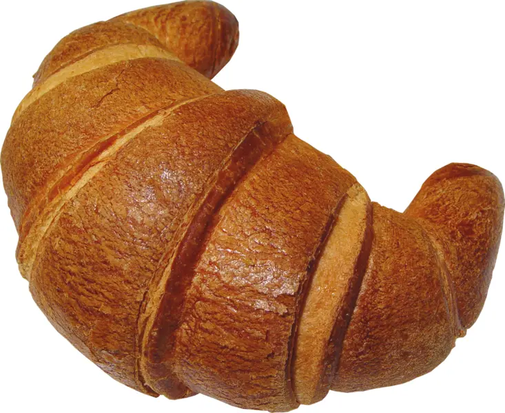 Golden Brown Croissant