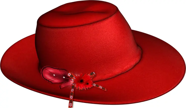 Red Hat with Decorative Flower