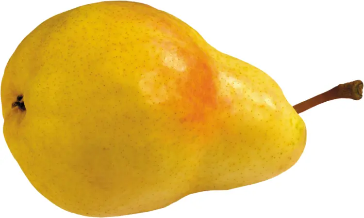 Yellow Pear