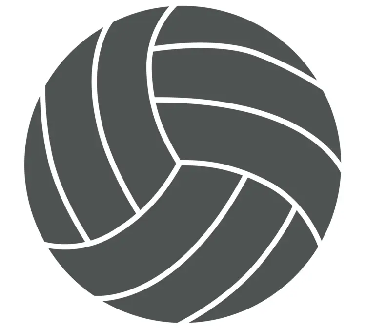 Gray Volleyball Icon