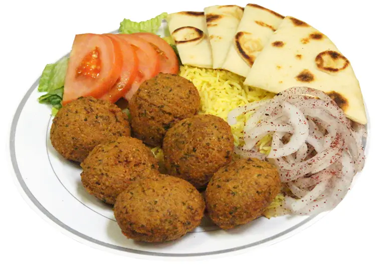 Delicious Falafel Plate with Pita and Salad