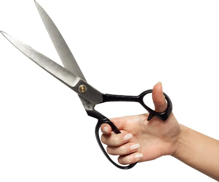 Hand Holding Large Scissors