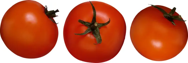 Three Fresh Red Tomatoes