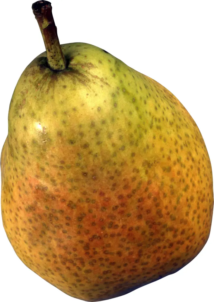 Ripe Green Pear