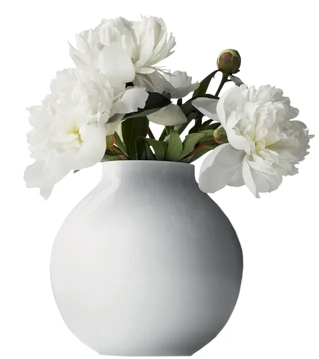 White Flowers in Round Vase