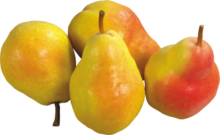 Yellow and Red Pears