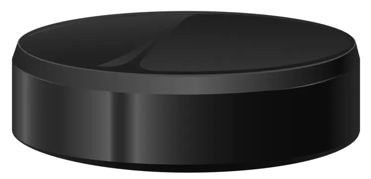 Detailed Black Hockey Puck