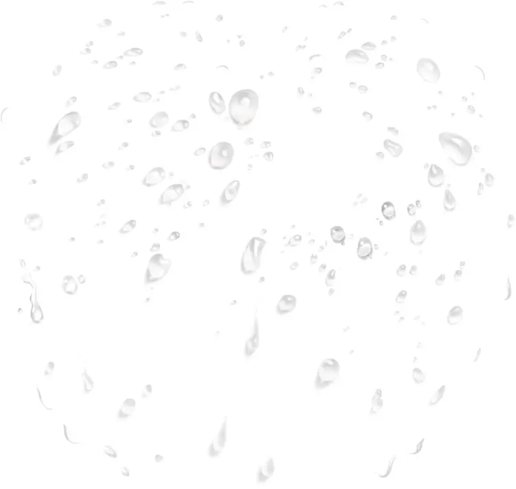 Transparent Water Droplets on Clear Background