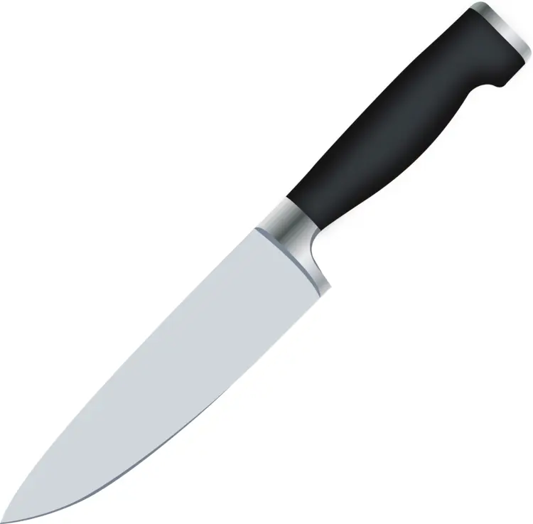 Chef's Knife for Professional Cooking