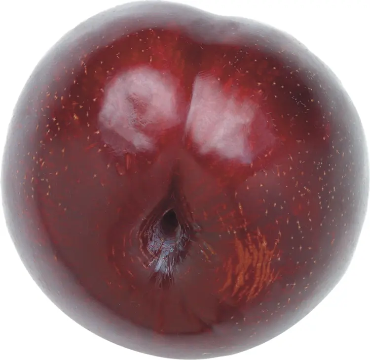 Red Round Plum