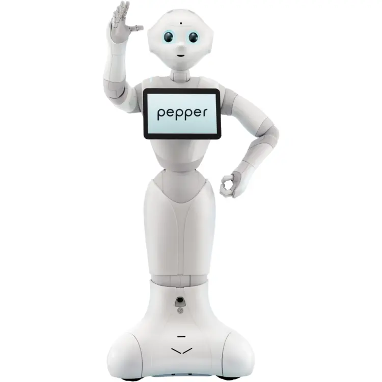 Interactive White Robot