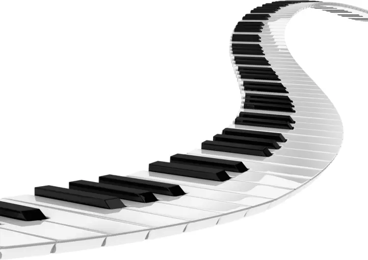 Curved Piano Keys in Black and White