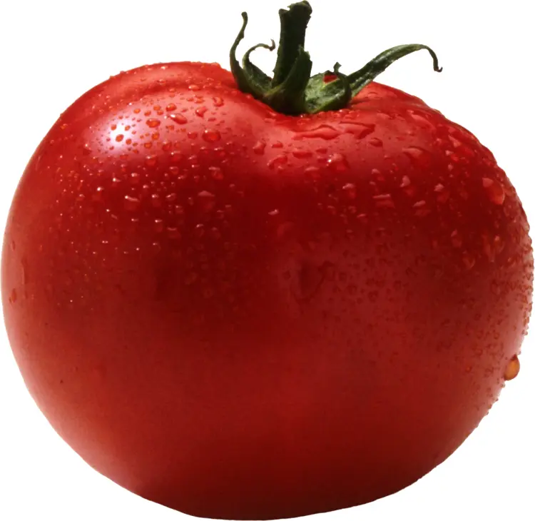 Fresh Red Tomato