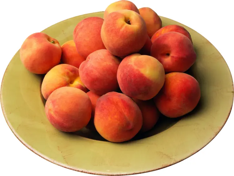 Bowl of Juicy Peaches
