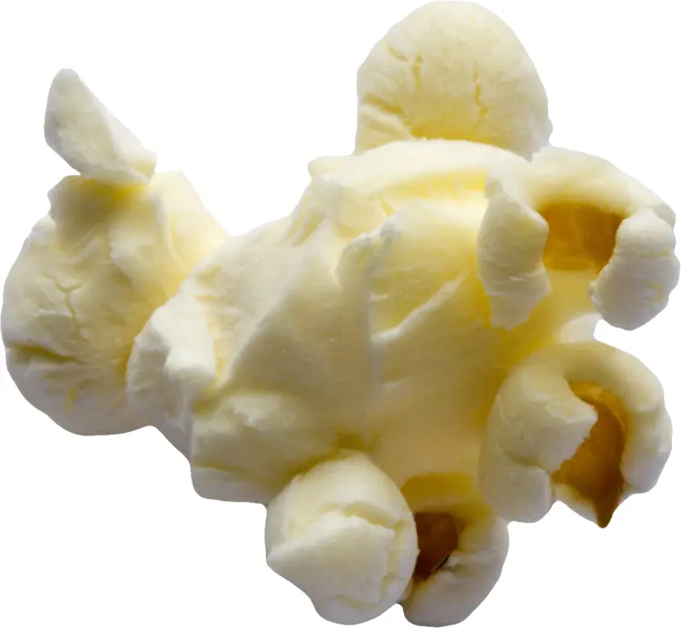 Buttered Popcorn Close-Up