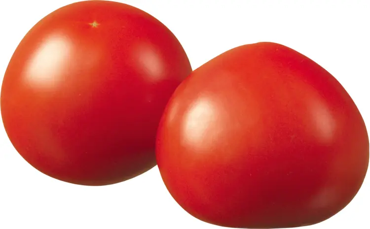 Fresh Red Tomatoes