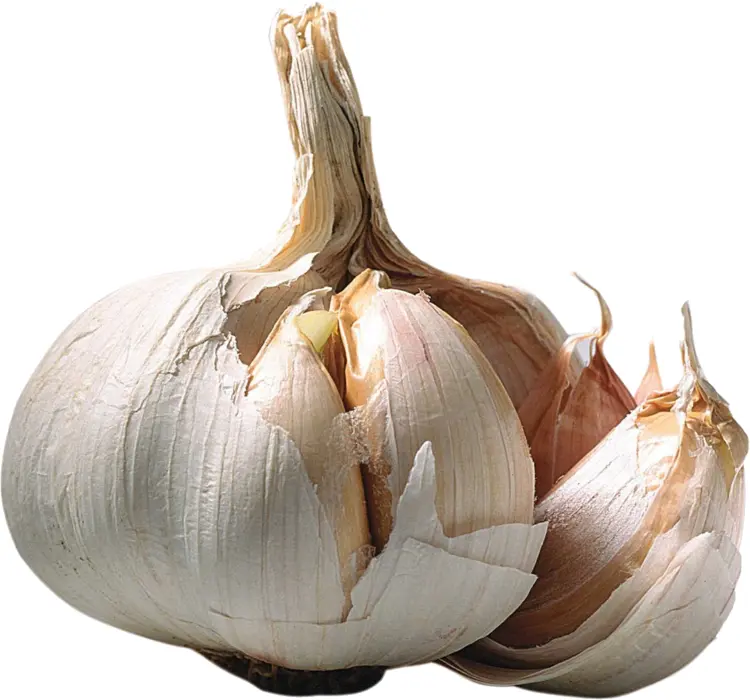 Whole Garlic Bulb with Cloves