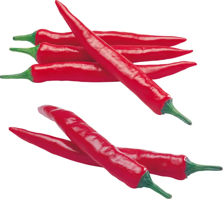 Hot Red Cayenne Peppers