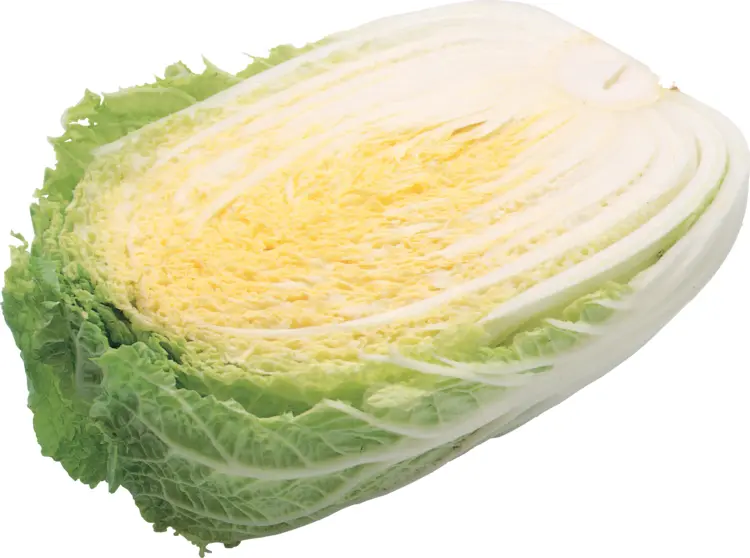 Sliced Napa Cabbage