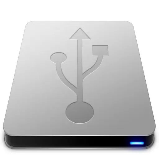 Silver USB Drive Icon