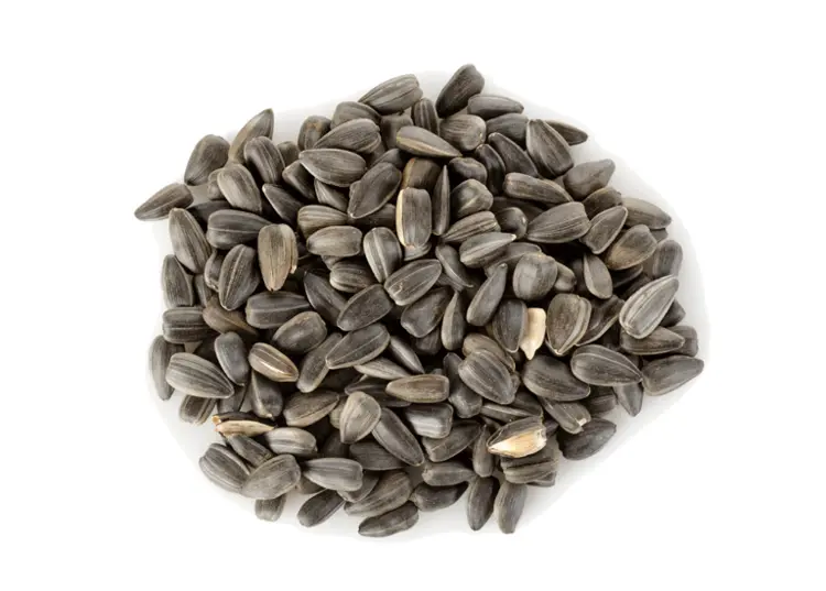 Pile of Sunflower Seeds