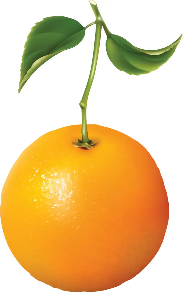 Fresh Orange with Leaf