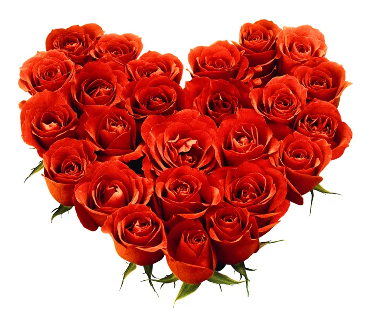 Heart Shaped Arrangement of Roses