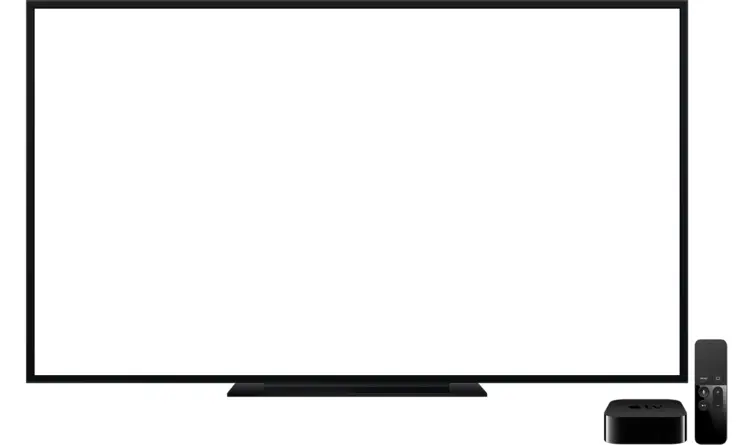 Flat Screen TV with Remote